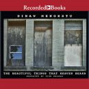 Beautiful Things that Heaven Bears, Dinaw Mengestu
