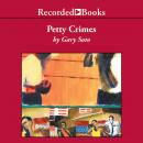 Petty Crimes Audiobook
