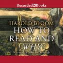 How to Read and Why Audiobook