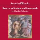 Return to Sodom and Gomorrah: Bible Stories from Archaeologists, Charles Pellegrino