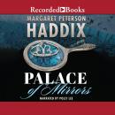 Palace of Mirrors Audiobook