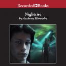 Nightrise Audiobook