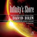 Infinity's Shore, David Brin