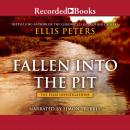 Fallen Into the Pit Audiobook
