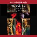 The Visitation Audiobook
