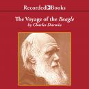 The Voyage of the Beagle:Journal of Researches into the Natural History and Geology of the Countries Audiobook
