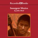 Insurgent Mexico Audiobook