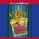 Escape From Castle Cant Audiobook