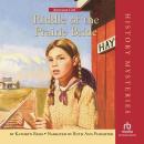 Riddle of the Prairie Bride Audiobook