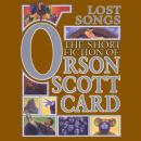 Lost Songs: The Hidden Stories: Book 5 of Maps in a Mirror Audiobook