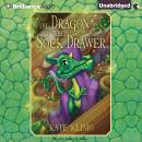 The Dragon in the Sock Drawer Audiobook