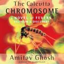 The Calcutta Chromosome Audiobook