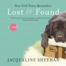 Lost & Found Audiobook