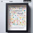 Transparent Things Audiobook