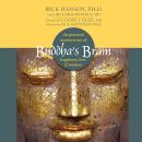 Buddha's Brain: The Practical Neuroscience of Happiness, Love & Wisdom, Rick Hanson, Ph.D.