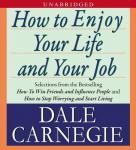 Cover of How to Enjoy Your Life and Your Job