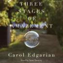 Three Stages of Amazement: A Novel, Carol Edgarian