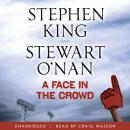 A Face in the Crowd Audiobook