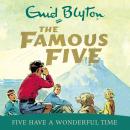 Five Have A Wonderful Time Audiobook