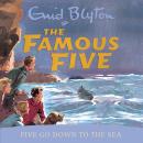 Five Go Down To The Sea Audiobook