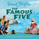 Five Have Plenty Of Fun Audiobook