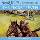 Secret Seven Mystery Audiobook