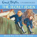 Shock For The Secret Seven Audiobook