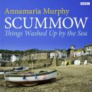 Scummow  Things Washed Up By The Sea, Annamaria Murphy
