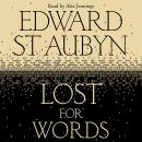 Lost For Words Audiobook