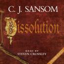Dissolution Audiobook