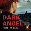 Dark Angel: Anders Knutas series 6, Mari Jungstedt