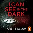 I Can See in the Dark Audiobook