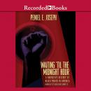 Waiting 'Til the Midnight Hour: A Narrative History of Black Power in America Audiobook