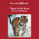 Tigers in the Snow Audiobook