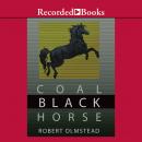 Coal Black Horse Audiobook