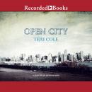 Open City: A Novel Audiobook