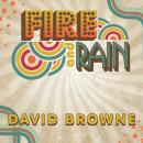 Fire and Rain: The Beatles, Simon and Garfunkel, James Taylor, CSNY and the Lost Story of 1970 Audiobook