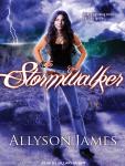 Stormwalker Audiobook