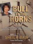Bull by the Horns: Fighting to Save Main Street from Wall Street and Wall Street from Itself Audiobook