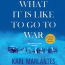 What It Is Like to Go to War, Karl Marlantes