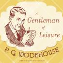 A Gentleman of Leisure Audiobook