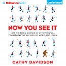 Now You See It Audiobook