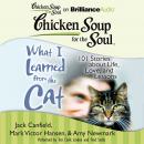 Chicken Soup for the Soul: What I Learned from the Cat Audiobook