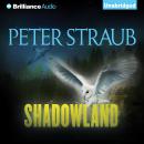 Shadowland Audiobook