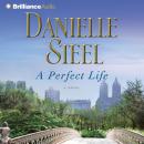 A Perfect Life: A Novel Audiobook