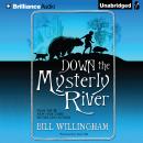 Down the Mysterly River Audiobook