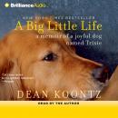 A Big Little Life Audiobook