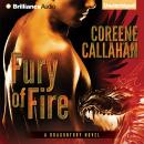 Fury of Fire Audiobook