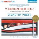 A Problem From Hell Audiobook