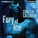 Fury of Ice Audiobook